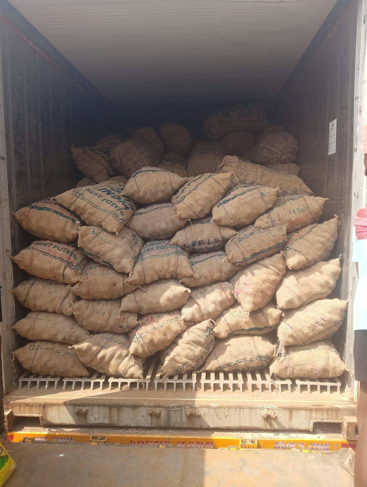 Bulk potatoes for export